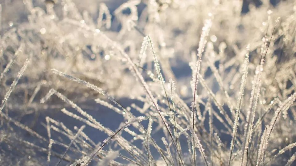 看长沙下雪的景,长沙看雪最佳地方