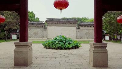 先走一步！对不起，我要去青浦了！