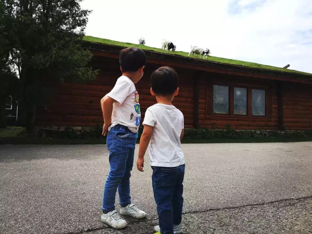 芝加哥南部旅游攻略图文,芝加哥附近旅游