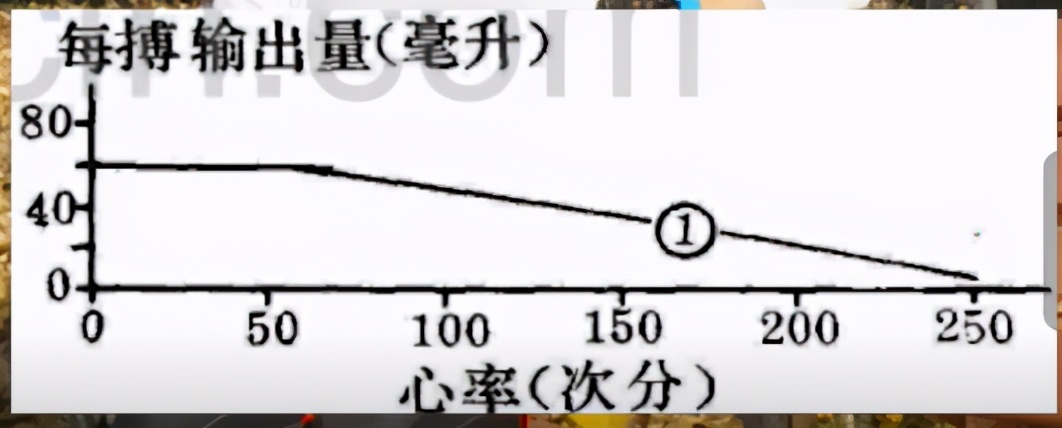 怎么跑心率才会降下来,怎样跑才能降心率