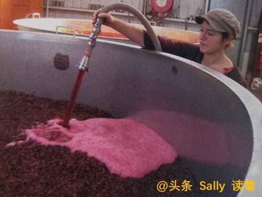 红酒在酒庄经历了什么？争议如此大？朱广权式幽默告诉你