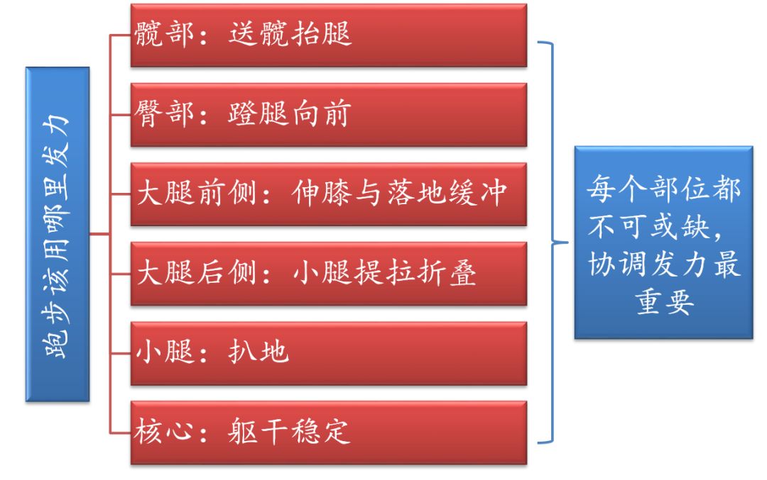 折叠小腿可以提高步频吗,折叠腿跑步适合长跑吗