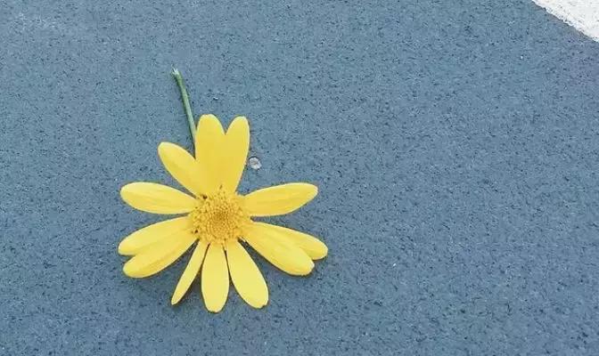 离婚后因为孩子的事如何避免吵架,两夫妻吵架离婚该怎样打破僵局