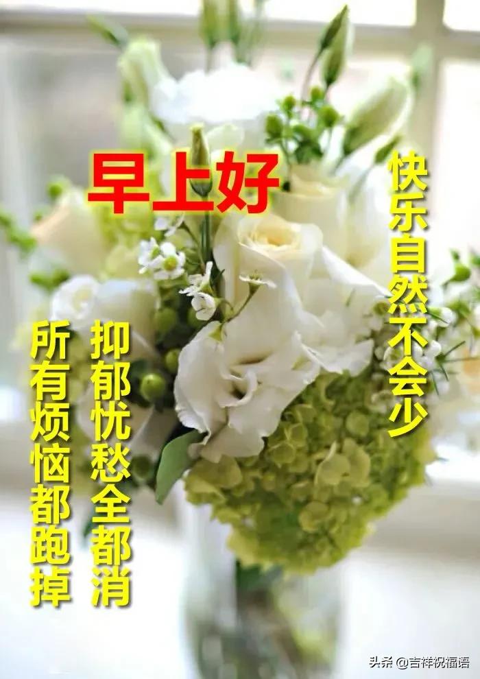 你若盛开蝴蝶自来正能量的句子,你若盛开蝴蝶自来老天自有安排