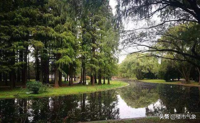 4条地铁/宜家/博物馆新馆/中小学54个2019郑州这20条好消息来袭