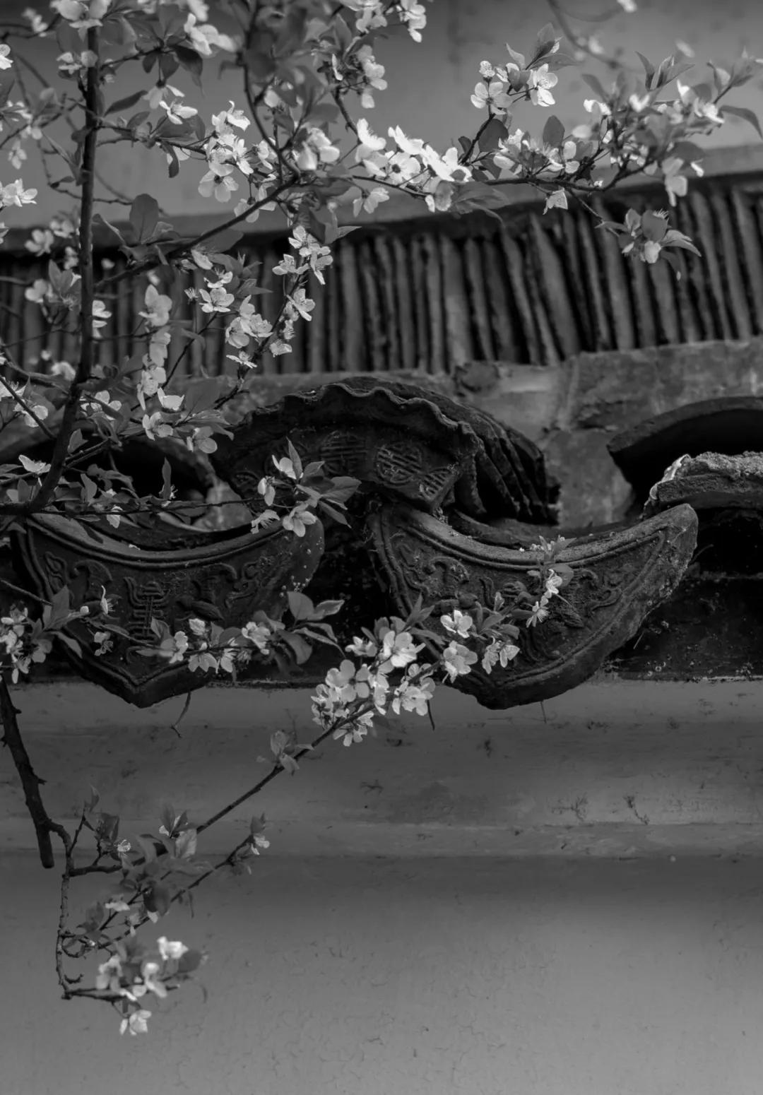 南京的老城南是哪里,南京老城南