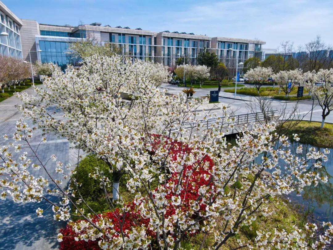 江苏昆山杜克大学图片,昆山杜克大学堪比985