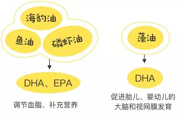 吴昕天天嗑的这瓶保健品，实测不咋地哦