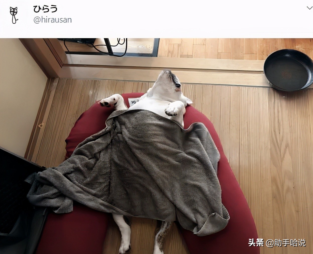 为什么一般女生的脚不臭,为什么大多数女生的脚都不臭