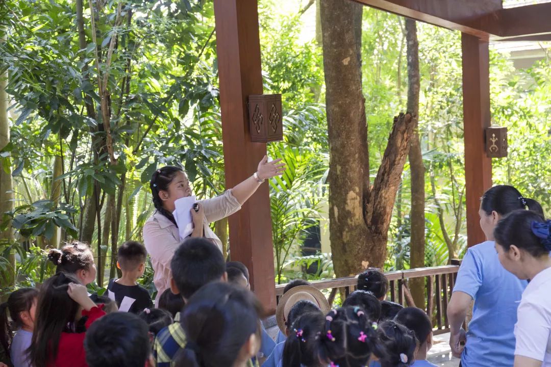 金秋多彩季，春晖幼儿园雨林仙境一日游