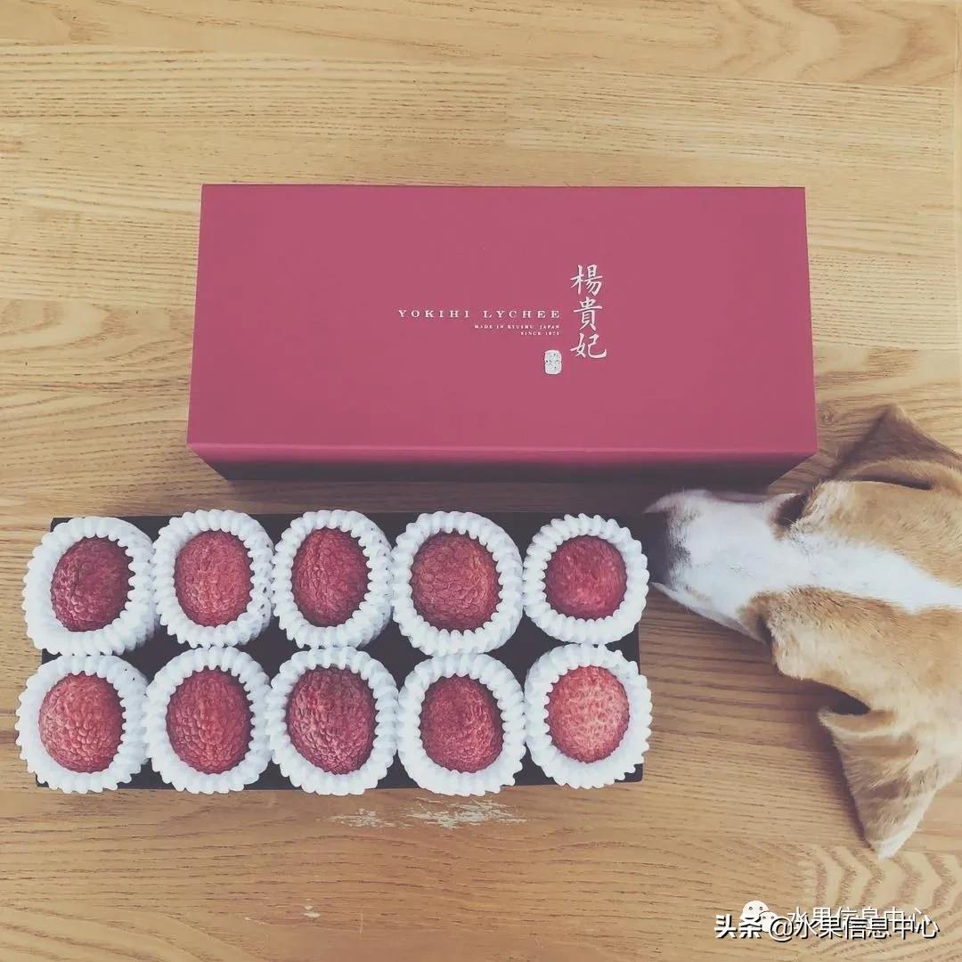 日本农业发达到什么程度？荔枝、香蕉、菠萝竟然用温室来种