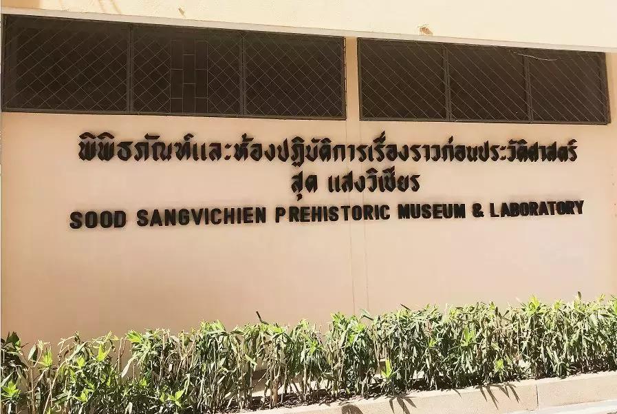 别再去曼谷的大众景点打卡了，换一种方式感受生活