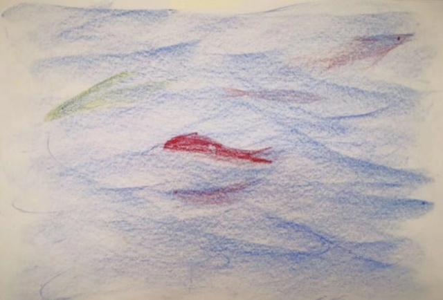 人智学的理论课程,人智学概论