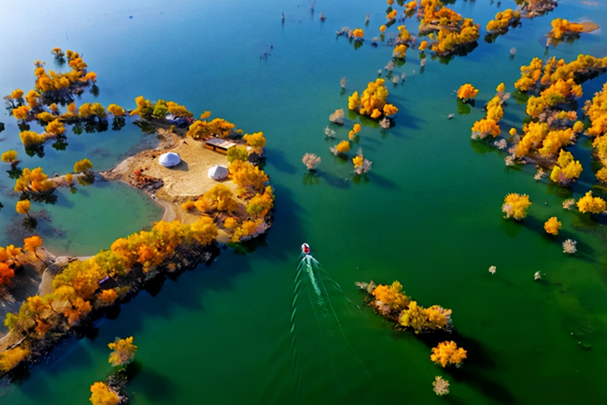 艺术家朗诵不朽的胡杨,千年不朽的胡杨