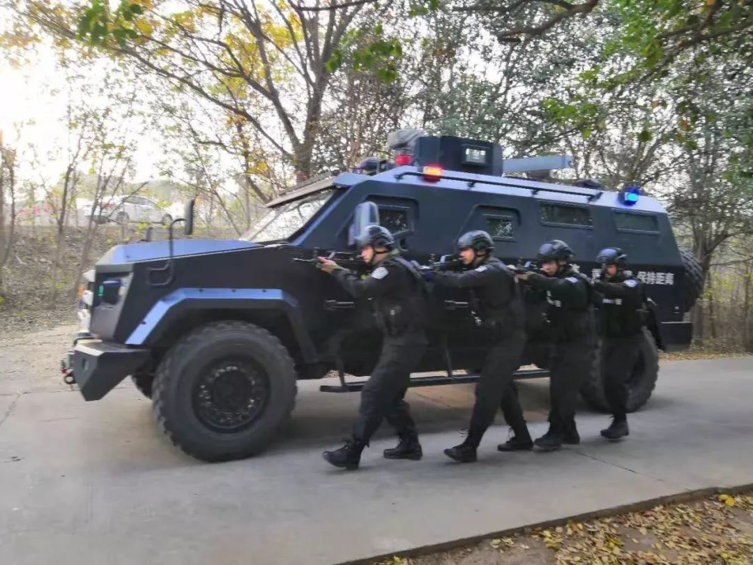 洛阳最近破获大案,洛阳最近破获特大案件