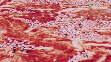 被吹爆的神片,被吹上天的神作