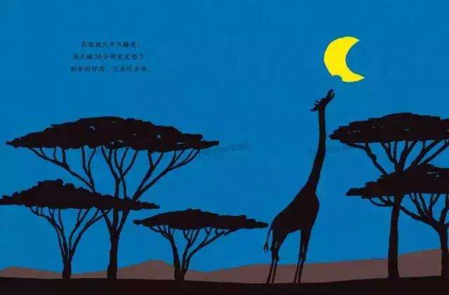 值得孩子看的4本经典绘本,3-6岁必看十本绘本清单