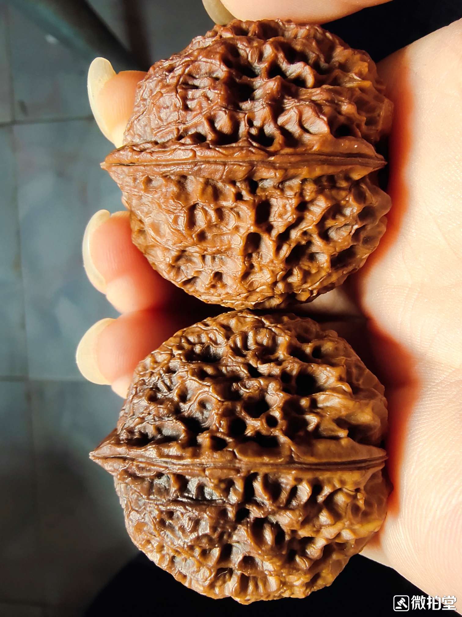 文玩核桃蛤蟆头产地,文玩核桃产地哪里的最好