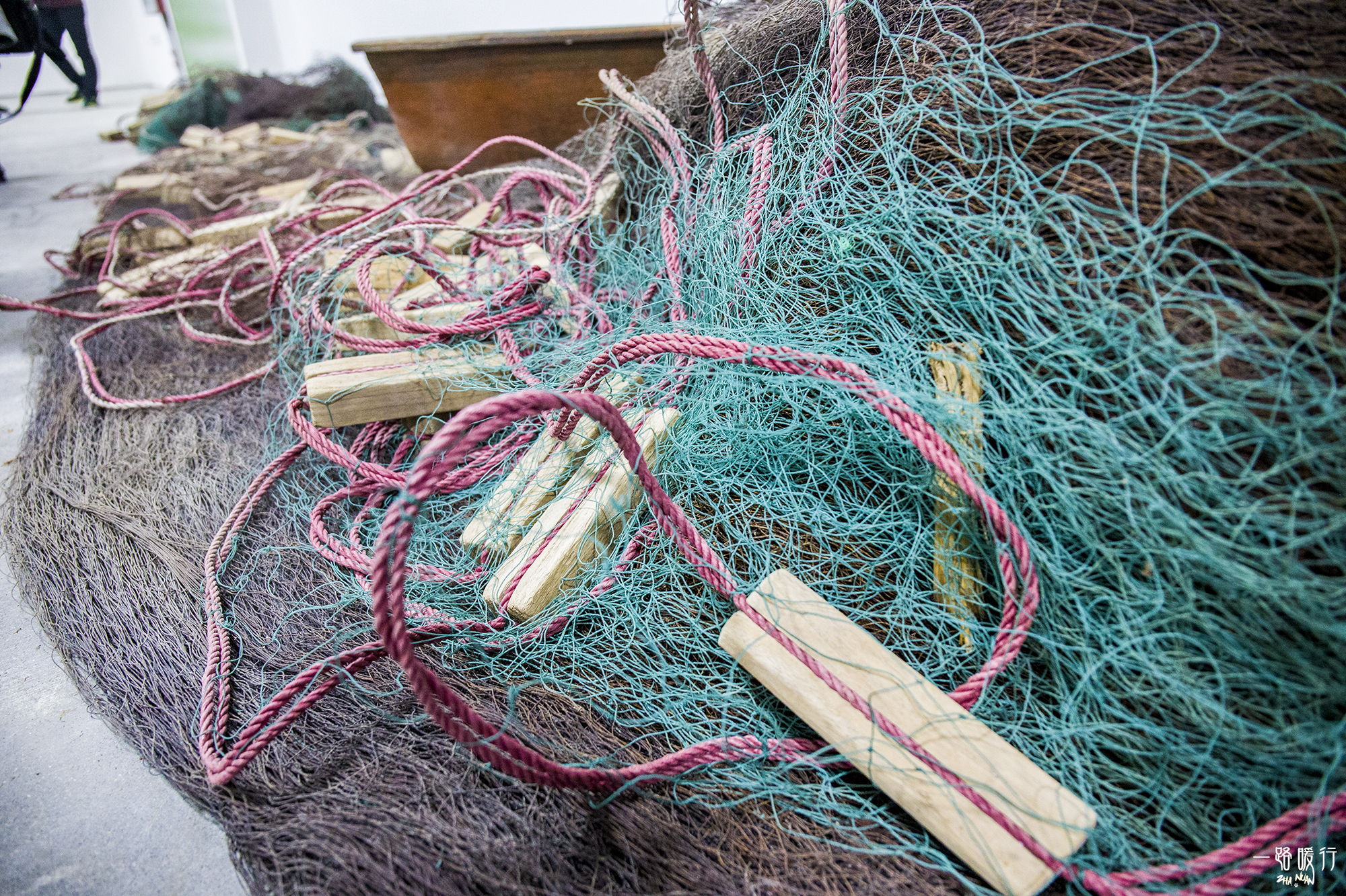 野生牡蛎王,海边野生牡蛎