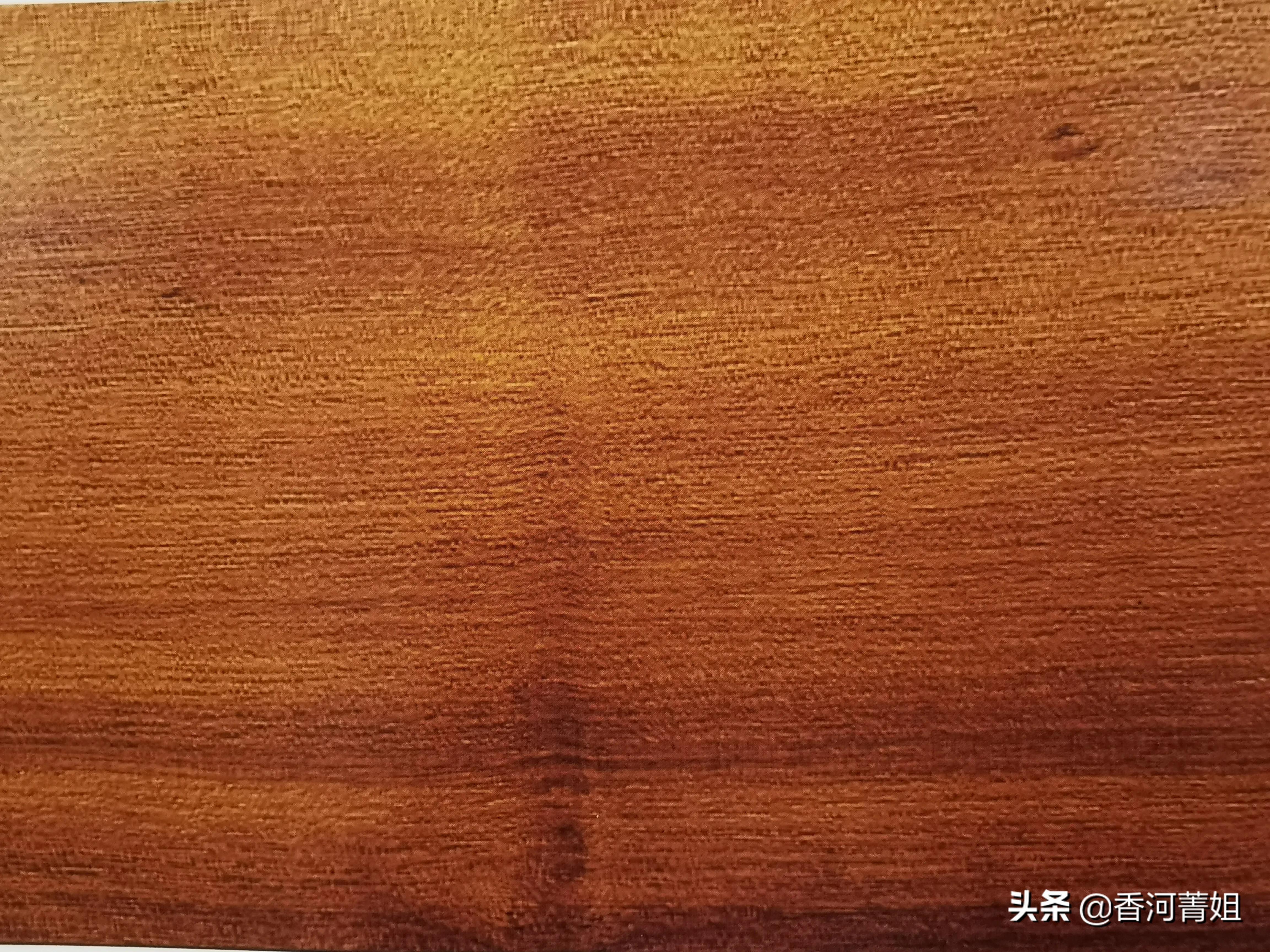 白盾籽木～苦楝树（硬木）