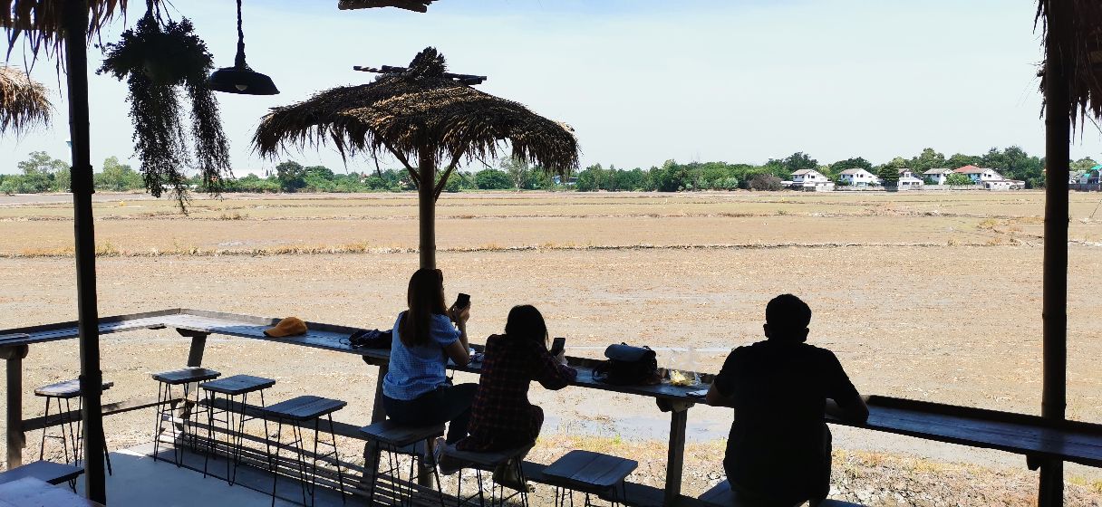 泰国北部的稻田咖啡,泰国大城府稻田咖啡厅