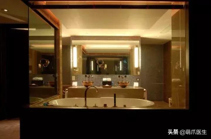 上海可带宠物入住的酒店推荐,怎么选宠物友好酒店房间