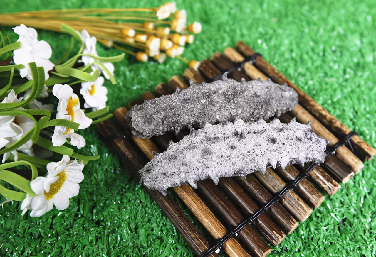 海参为什么说是正经海参,海参含盐量