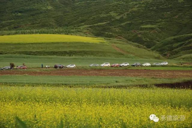 真实的坝上草原,河北坝上草原大汗行宫