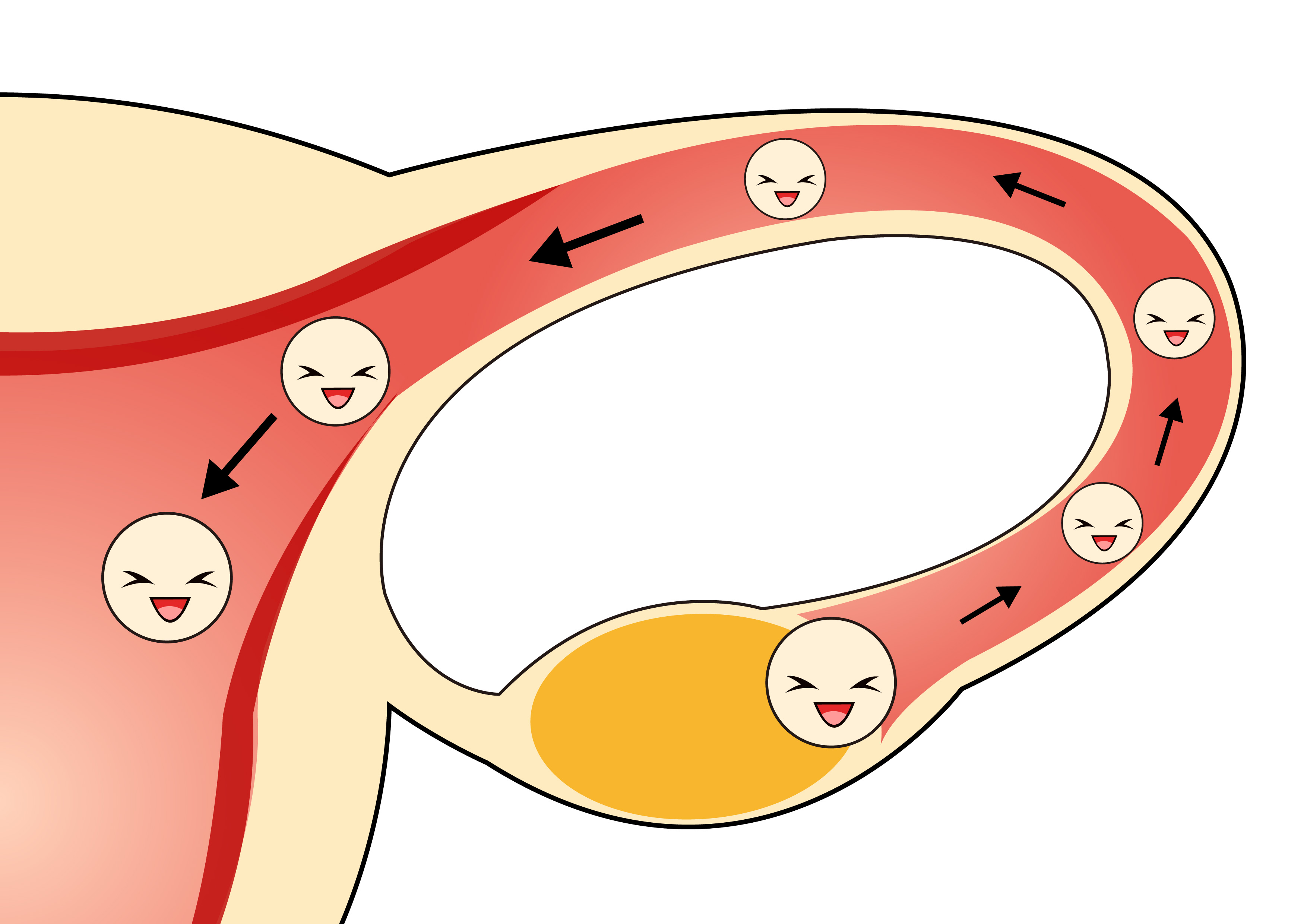 备孕成功经验子宫前位,备孕成功经验
