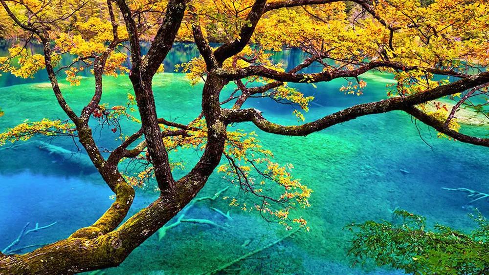 9月国内最美的10个最佳旅行地推荐,金秋十月寻找最美旅行地