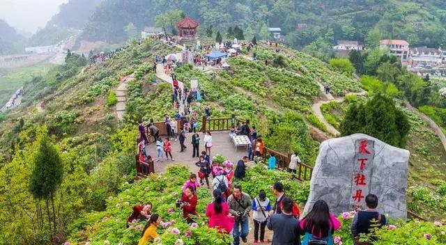 重庆最牛的4个县，垫江第1，忠县第2，奉节第3，云阳第4