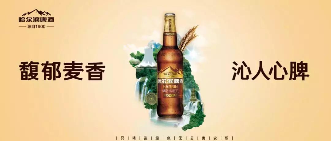 好山好水好谷物,哈尔滨小麦王和经典小麦王