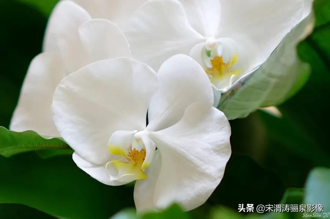 令人振奋的宾得HDPENTAXDFA*85mmF/1.4EDSDMAW