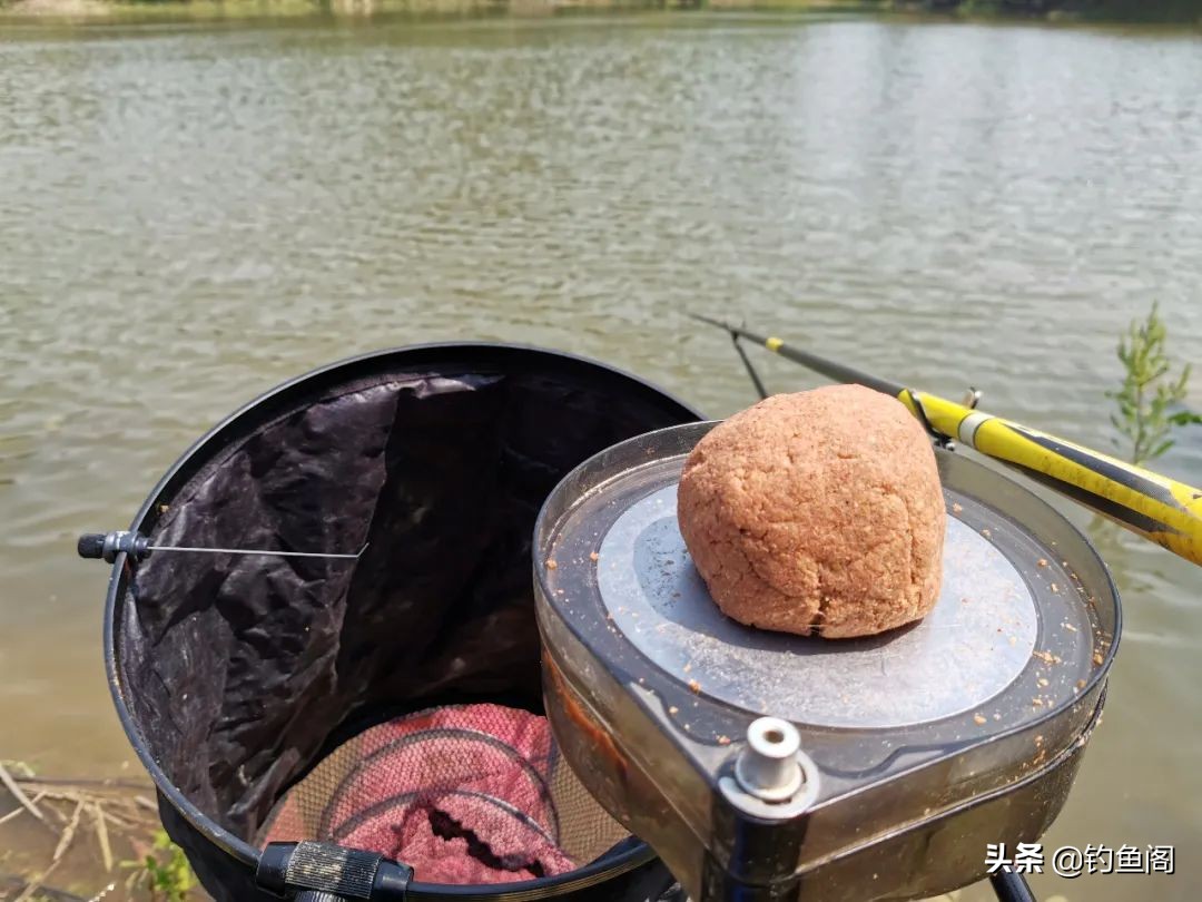 钓黑坑用什么饵料效果比较好,钓黑坑最好的用什么饵料