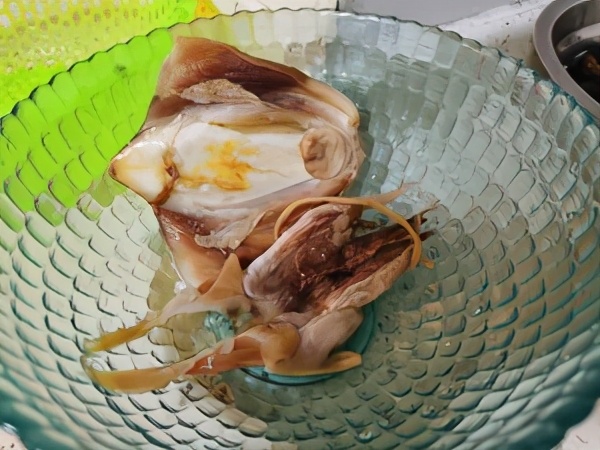 最简单的墨鱼猪骨汤,怎样做墨鱼汤好吃又简单又好喝