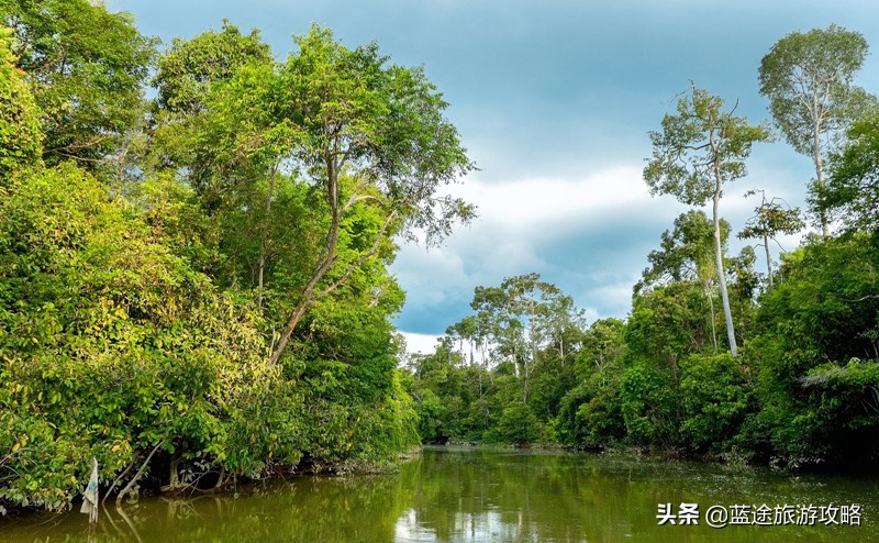 沙巴旅游跟团攻略 (去沙巴必懂的几大攻略)