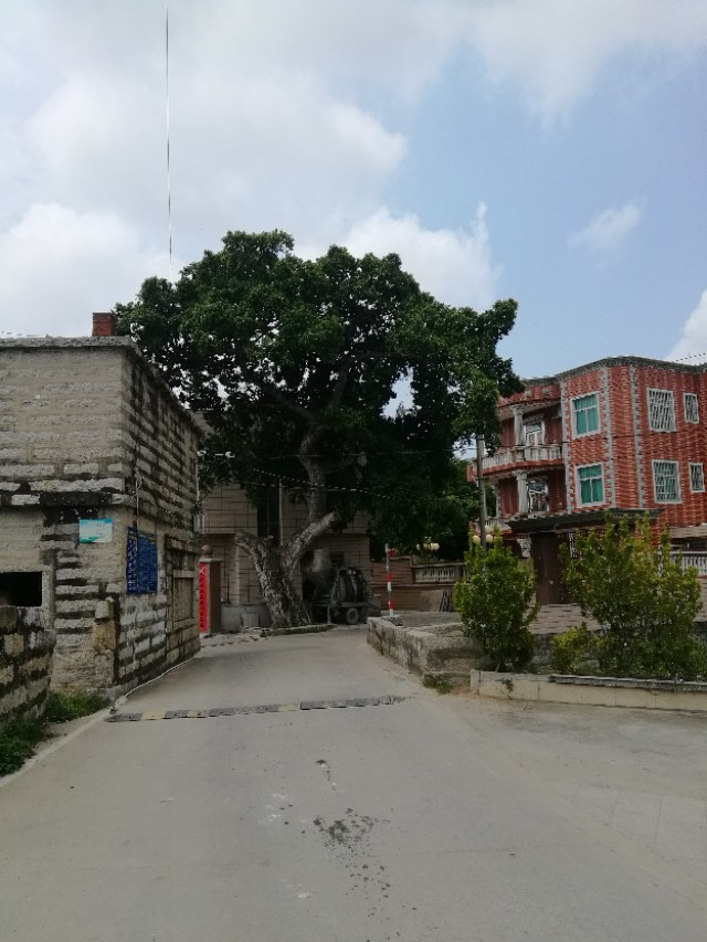 走在乡间的小路上曲谱,走在乡间的小路上歌曲