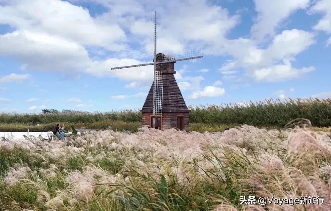 27个世界湿地日,世界湿地之都