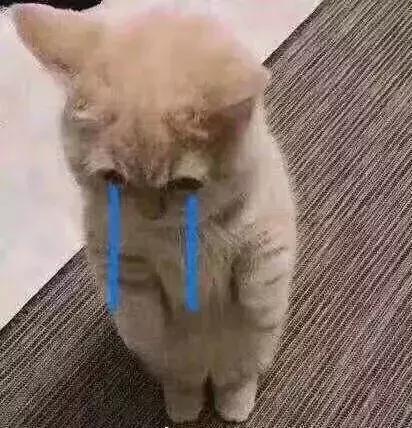 QQ号可以注销了！一大波网友说：不能注销的是青春