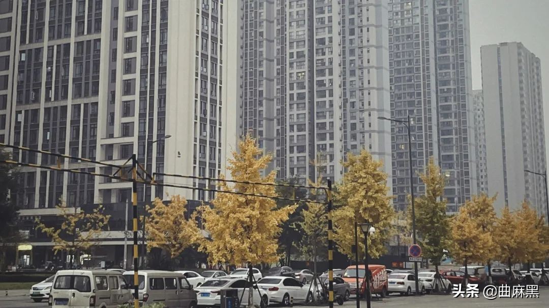 住在乡镇很丢脸吗,住在大丰的真实感受