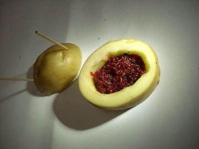 红虫怎么保存死亡率低些,野红虫在家怎么保存最佳方法