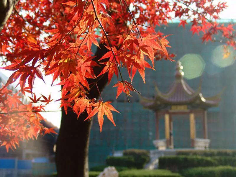 “国防七子”之南京航空航天大学