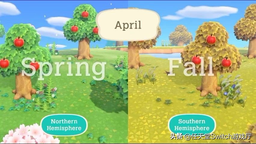 这就是向往的生活综合分析,这就是向往的生活原创视频