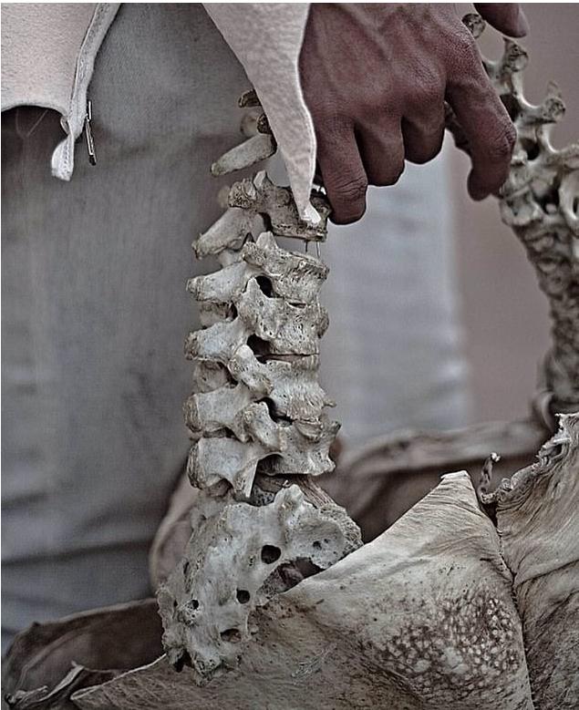 耐克外国商品,耐克外国鞋