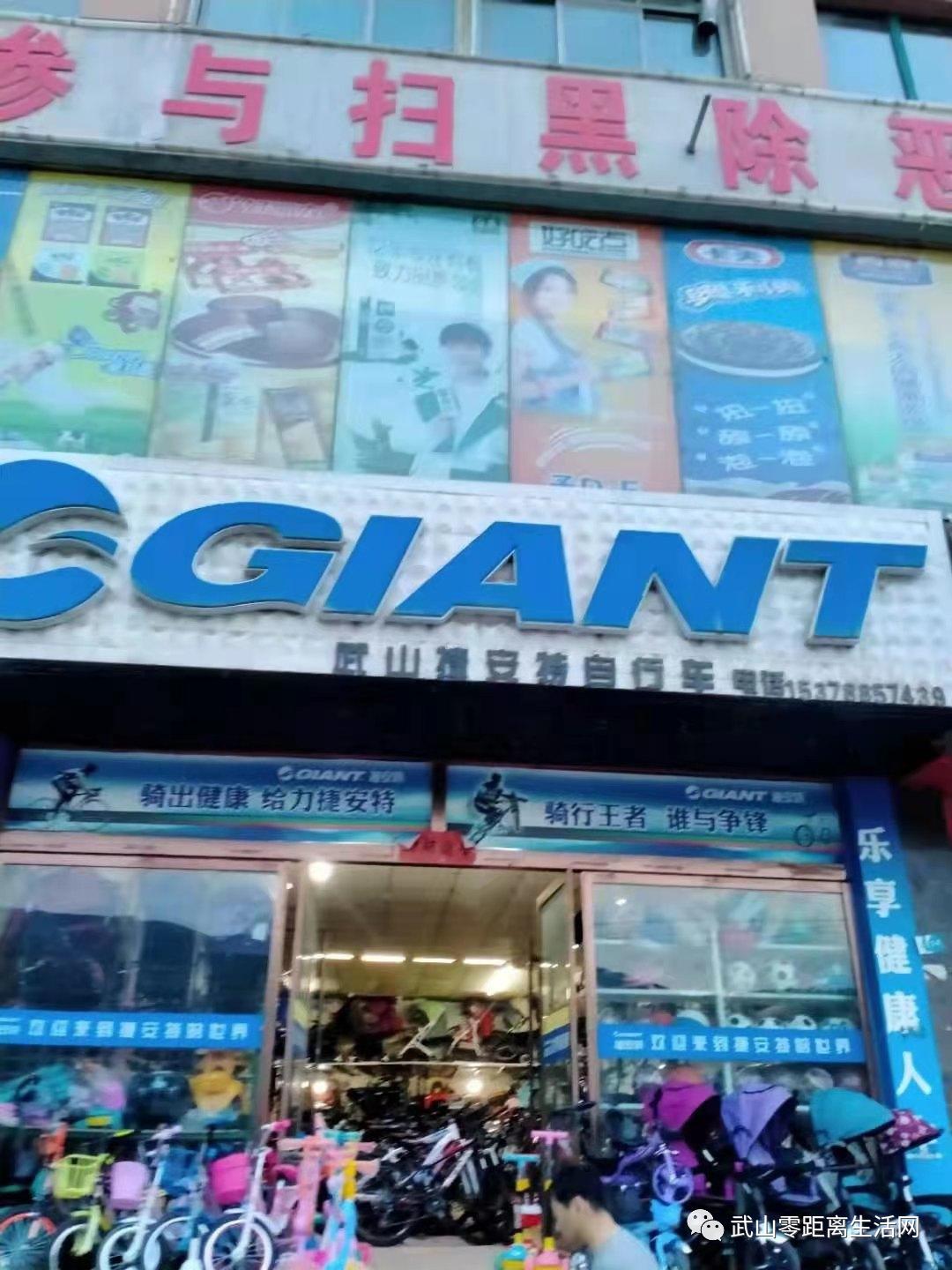 武山龙台油菜花节,湖口县武山油菜花节