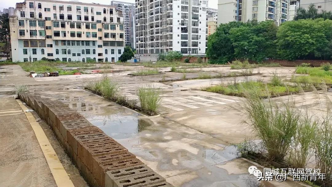 驾照考到一半驾校倒闭怎么办,驾校倒闭换驾校怎么办理