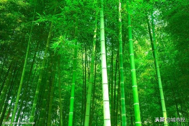 7个惊艳小众旅行地建议收藏哦,江苏省小众旅游地点