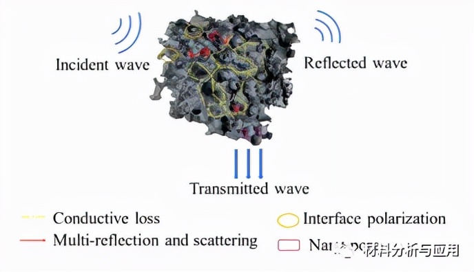 西安建大：稻壳衍生分级多孔碳作为轻质高效的吸波材料