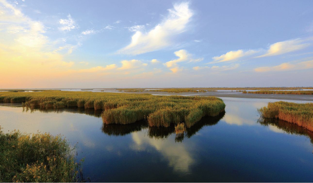 阳澄湖大闸蟹还有什么大闸蟹好吃,阳澄湖大闸蟹比别的大闸蟹小吗