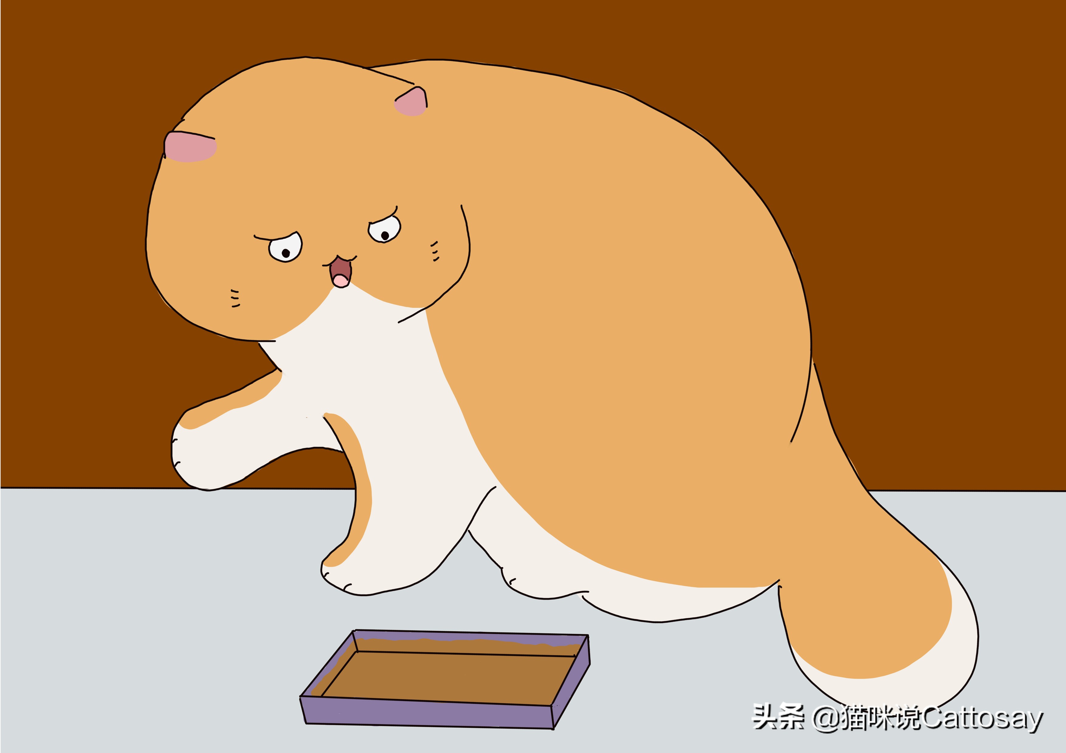 猫挑食硬喂能矫正吗,猫挑食用鸡肝粉拌猫粮